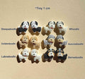 Cute Doodle dog stud earrings
