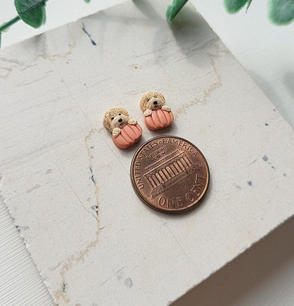 Tiny Maltipoo Dog Stud Earrings - Custom Dog Earrings On Pumpkin