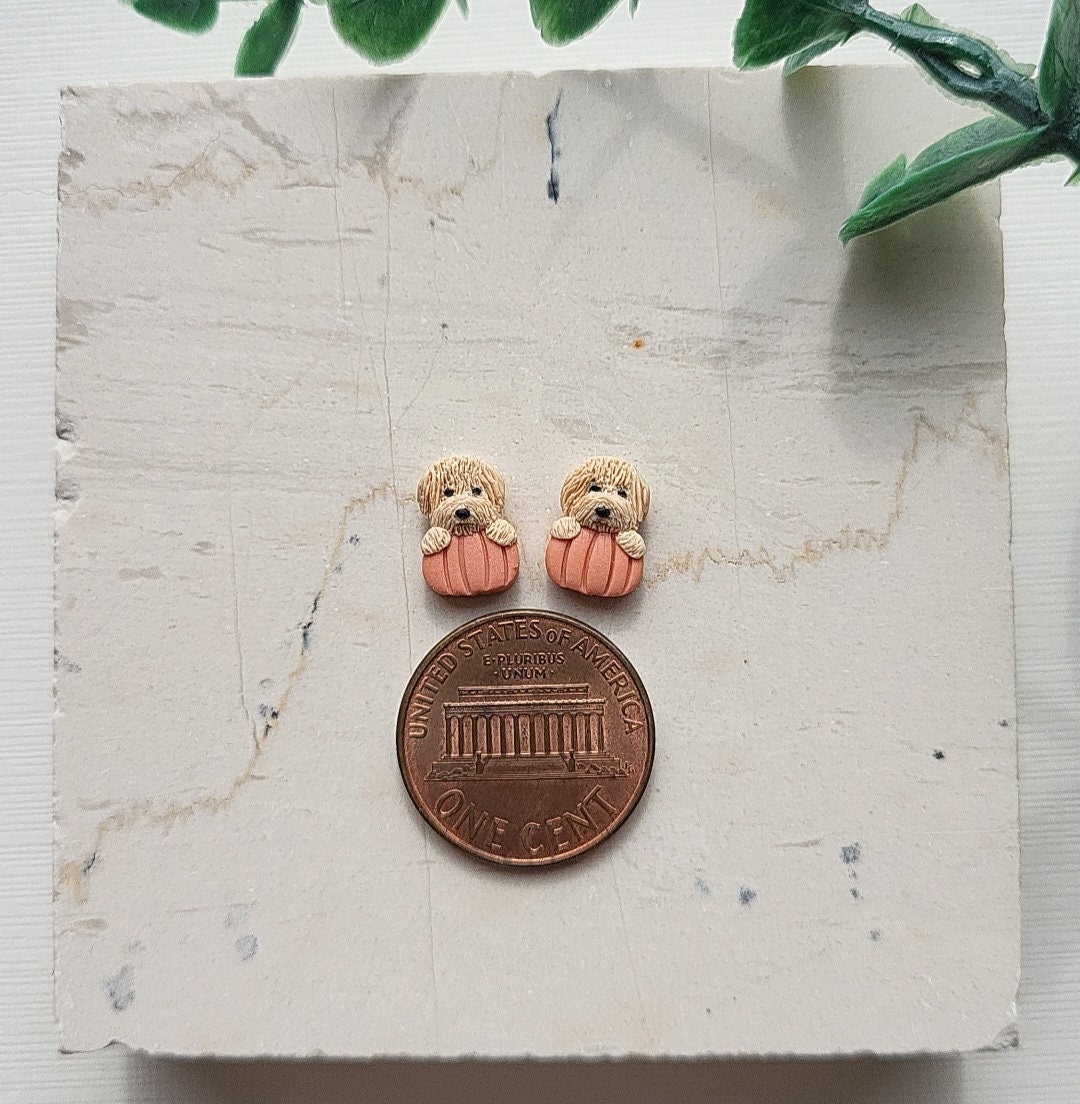 Tiny Pumpkin Maltipoo Dog Stud Earrings • Custom Dog Earrings On Pumpkin • Gifts For Dog Owner