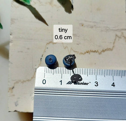 Winzige Blaubeer-Steckerohrringe 6 mm • Niedlicher handgefertigter Fruchtschmuck